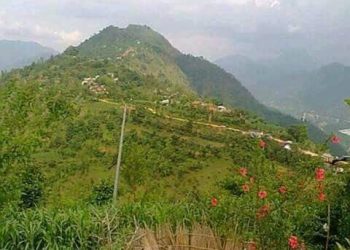 कालीगण्डकी गाउँपालिकाको छापडाँडा सिल