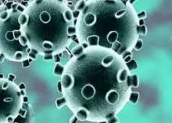 गुल्मीमा पछिल्लो २४ घण्टामा थप ३७ जनामा काेराेना संक्रमण पुष्टि,थप १ जनाकाे मृत्यु