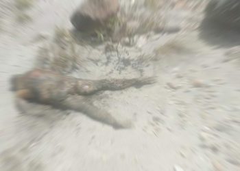 कालीगण्डकी नदी किनारमा सडेगलेको अवस्थामा शव फेला