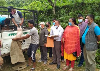 वालिङमा आर्थिक उपार्जनका लागि बंगुर वितरण