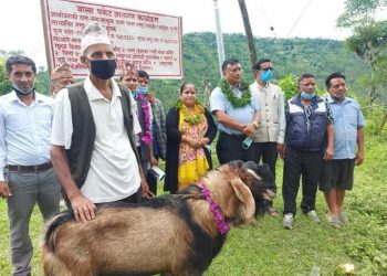 गुल्मीको भट्कुवामा कृषकलाई बाख्रा वितरण
