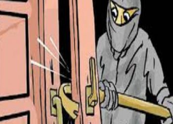 पाल्पामा चोरीका घटना बढ्न थाले- एकै रात ७०,६०० चोरी