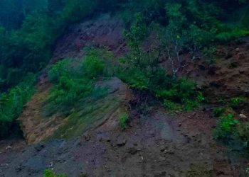 गुल्मीको यादुङ जोड्ने सडक १० दिन देखि अवरुद्ध