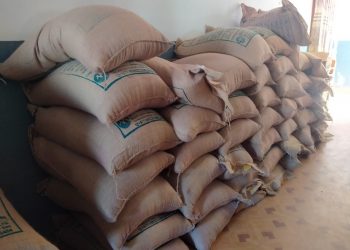 किसानलाई अनुदानमा गहुँको बीउ वितरण