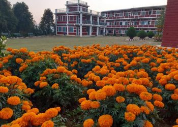 ध्रुवज्योति माविद्वारा १०० केजि भन्दा बढी फूल बिक्रीवितरण