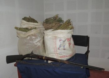 स्याङ्जामा भरुवा बन्दुक र गाजा सहित एक जना पक्राउ