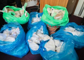 वालिङका व्यवशायीक च्याउ कृषकहरुलाई बिउ बितरण ।