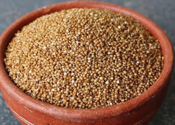 कोदोबाट उत्पादन हुने मदिरालाइ गण्डकी विश्वविद्यालयले ब्रान्डिङ गर्ने