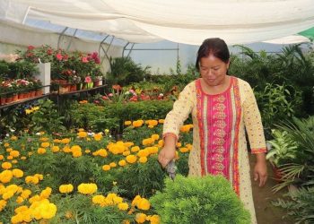 जागिर छाडेर पुष्प व्यवसायमा रमाएकी हुमा