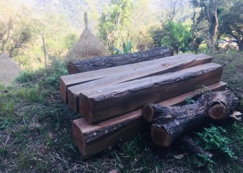 अवैध काठ सहित ४ जना पक्राउ