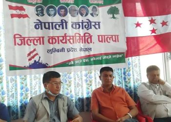 नेपाली कांग्रेस पाल्पामा जिम्मेवारी बाँडफाँड
