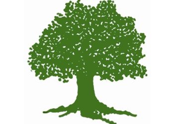 नेपाली कांग्रेस पाल्पाका उम्मेदवार चयन