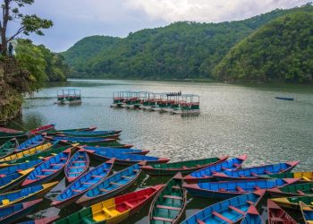 नयाँ वर्षमा गण्डकी प्रदेशको पोखराको फेवाताल किनारमा महोत्सव हुने