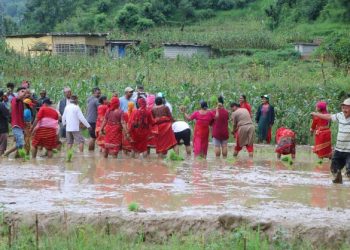 राष्ट्रिय धान दिवस स्याङ्जामा पनी मनाइयो