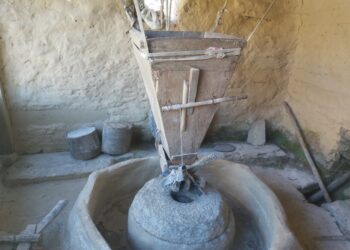 लोपोन्मुख पानीघट्ट